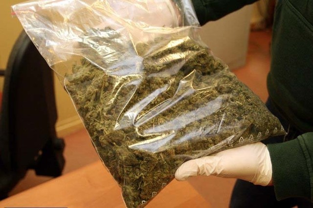 Policjanci znaleźli ponad 45 gramów marihuany