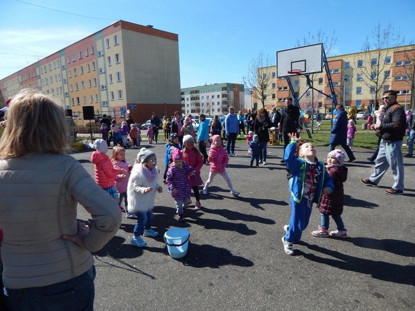 Wiosenny piknik na Zaciszu odbył się w sobotę, 2 kwietnia i...