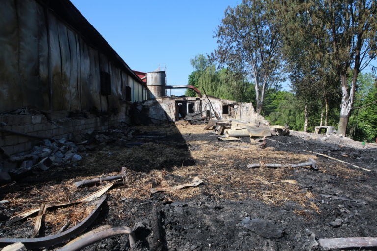 Gigantyczny pożar ubojni drobiu w Lubomierzu. Straty są ogromne! [ZDJĘCIA]