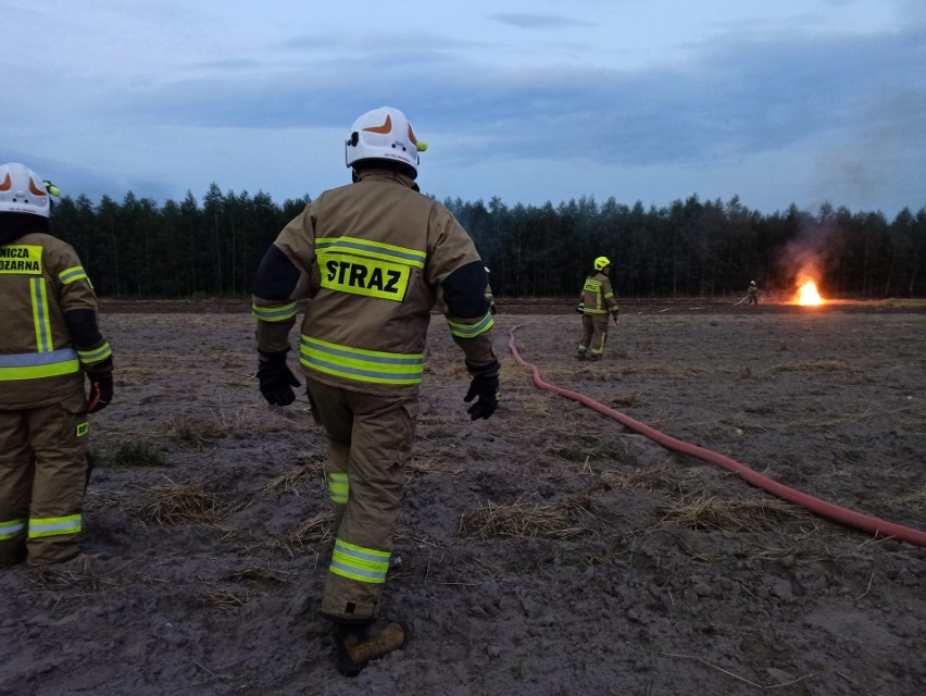 Pożar ścierniska i bel słomy gasili w piątek strażacy w miejscowości Polany, w gminie Wierzbica