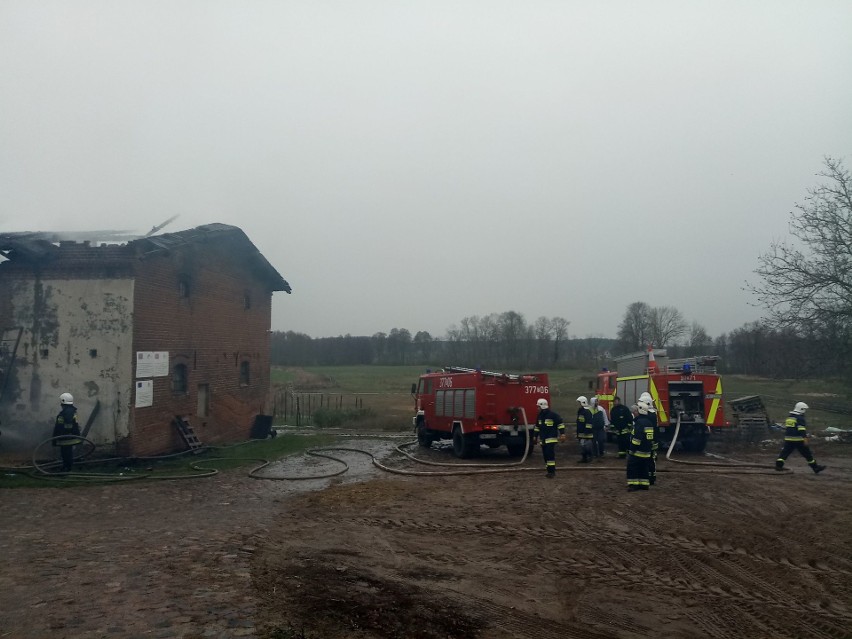 Spłonął budynek gospodarczy w Folwarku Pszczew. Straty idą w miliony [ZDJĘCIA]