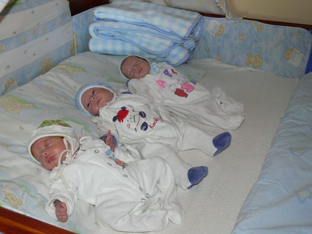 (Od lewej) Filip, Oskar i Jakub w swoim łóżeczku, w domu w Furmanach.