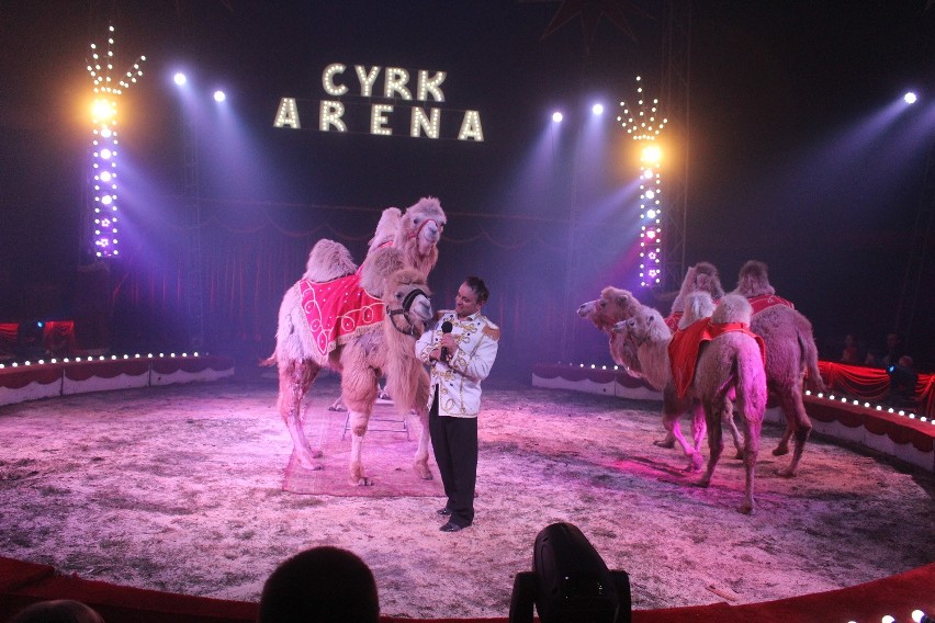 Cyrk Arena przyjechał do Mysłowic. Nie zabrakło występów ze...