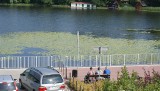 Trasa rowerowa wokół jeziora sępoleńskiego nie będzie gotowa na ten sezon