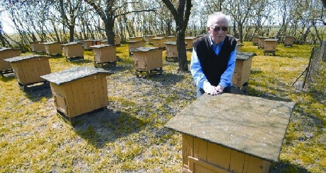 Czesław Gawroński z Dzików koło Świecia sam zbudował 70 uli. Pszczelarz ubolewa, że nie ma komu przekazać pasieki, której poświęca się od 40 lat.