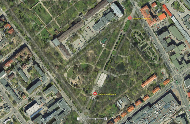 W piątek na Plantach magistrat rozda dwa tysiące drzewek