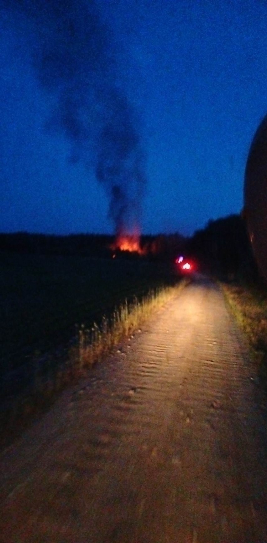 Pożar opuszczonych zabudowań w gminie Wąsewo. 19.06.2023