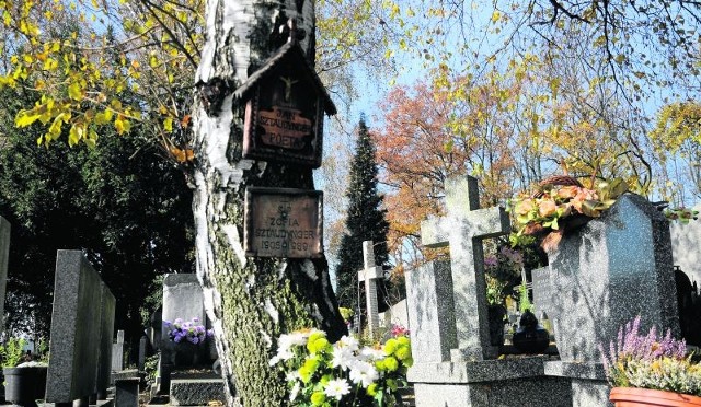 Cmentarz salwatorski uważany jest za wyjątkowo urokliwy