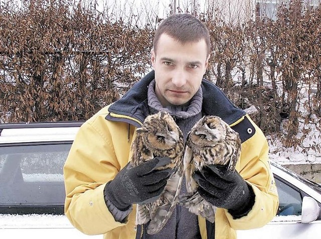 Michał Chojnacki z martwymi sowami. Karol Murat zidentyfikował je ze zdjęcia jako błotne lub uszate. Oba gatunki znajdują się pod ścisłą ochroną.