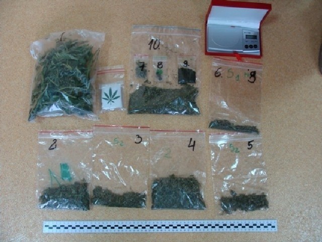 Zabezpieczone przez policję woreczki z marihuaną i jej nasionami. 