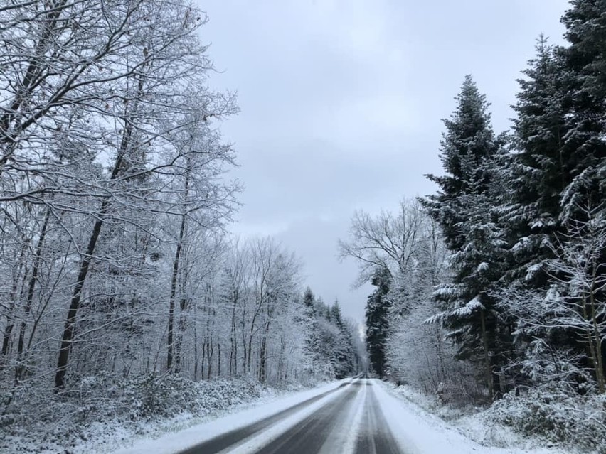 Sypnęło śniegiem na Podkarpaciu. Trudne warunki na drogach [ZDJĘCIA]