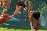 Starachowicki Helios zaprasza na premierę animacji „Pies w rozmiarze XXL” (ZDJĘCIA, WIDEO)