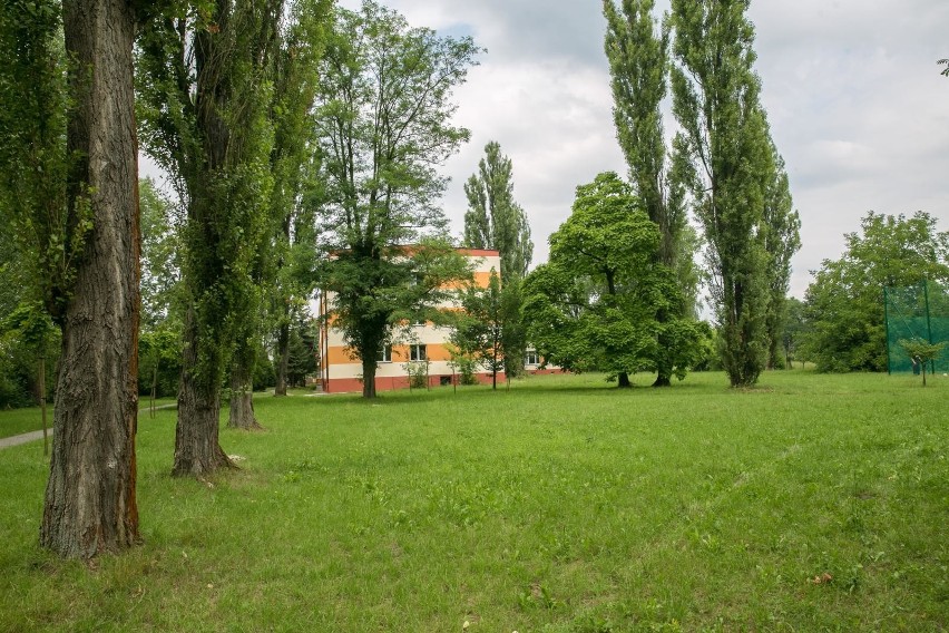 Kraków. Są przeciwko upychaniu ogromnego basenu na zielonym terenie szkoły