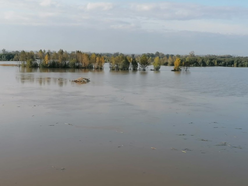 Zbiornik Racibórz Dolny na Odrze pierwszy raz napełniony!...