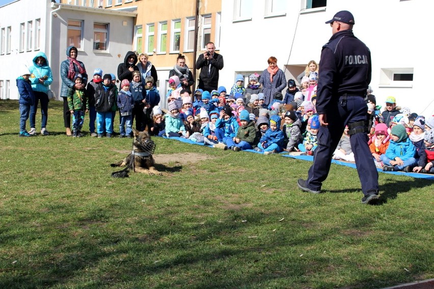 Policyjny owczarek Niko odwiedził sokólskich przedszkolaków (zdjęcia)