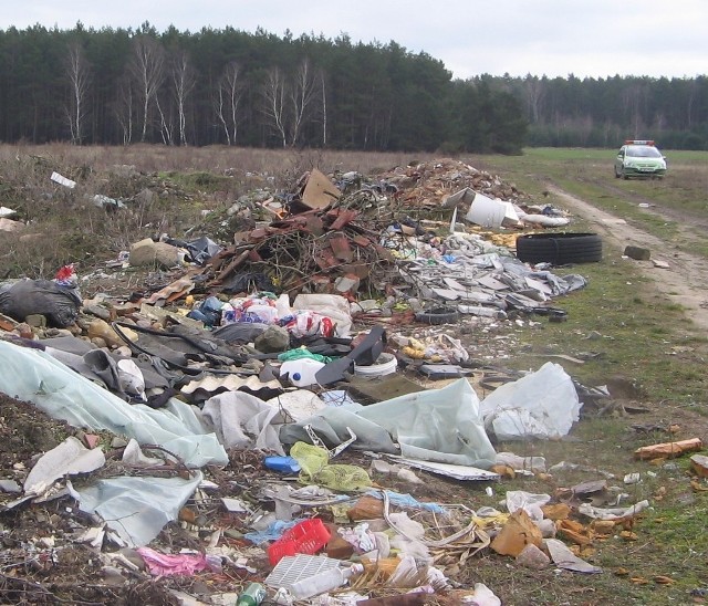 Wystarczy, że w jakimś miejscu ktoś wyrzuci śmieci. Niebawem dokładają je tak inni i tak powstają dzikie wysypiska w lasach.