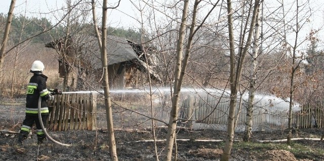 W niedzielę strażacy gasili między innymi pożar traw na radomskim Wincentowie.