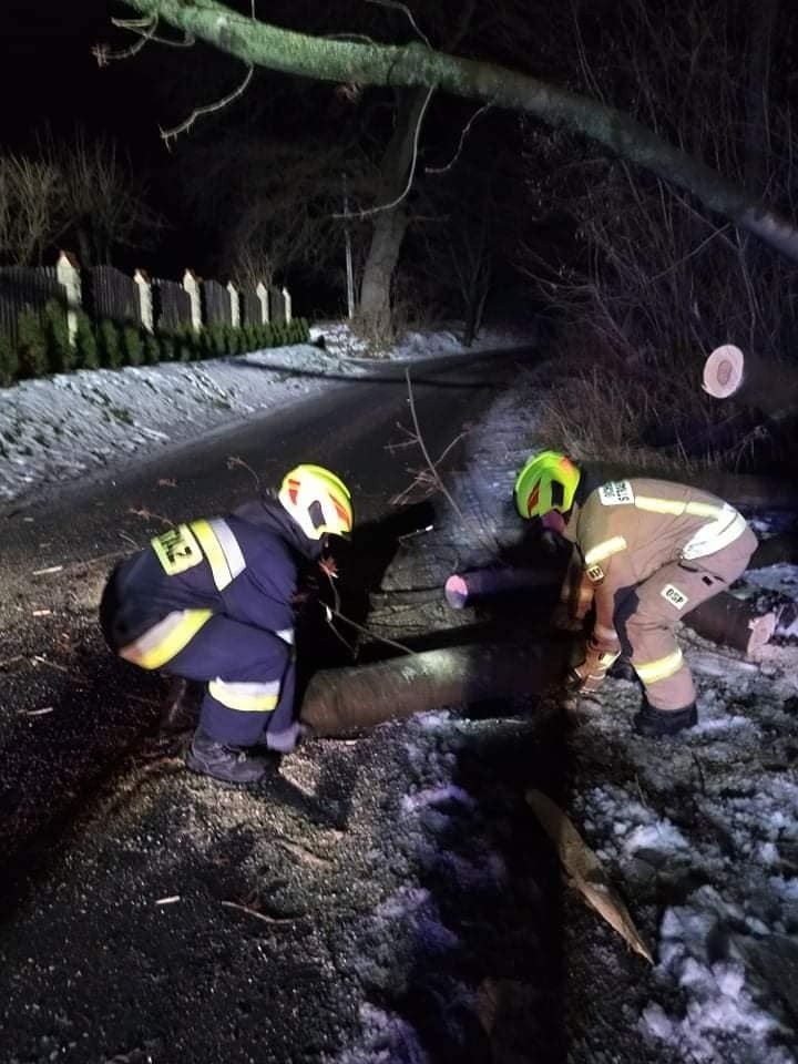 Drzewo runęło na ogrodzenie posesji w Żurawicy pod Przemyślem. Interweniowali strażacy z OSP Orzechowce [ZDJĘCIA]