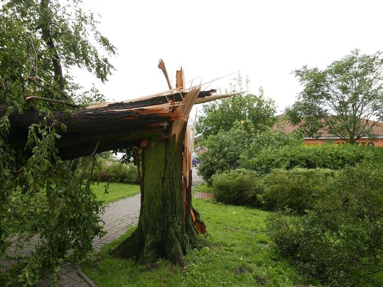 Białystok chce pomóc Pomorzanom