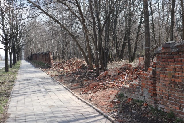 Do katastrofy doszło 18 lutego br. Wichura sprawiła, że ceglany mur  zabytkowej żydowskiej nekropolii runął na 32-metrowym odcinku