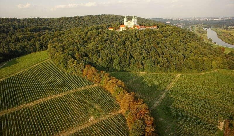 Małopolskie winnice. Dobre wino w pięknych miejscach. Powstanie mapa takich punktów
