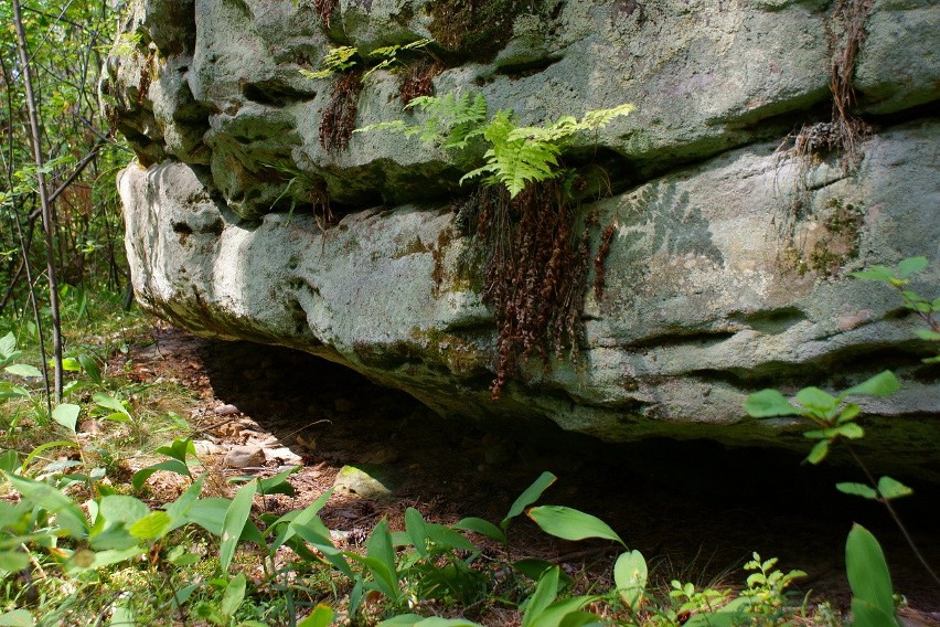 Jaskinie w rezerwacie skały w Krynkach.