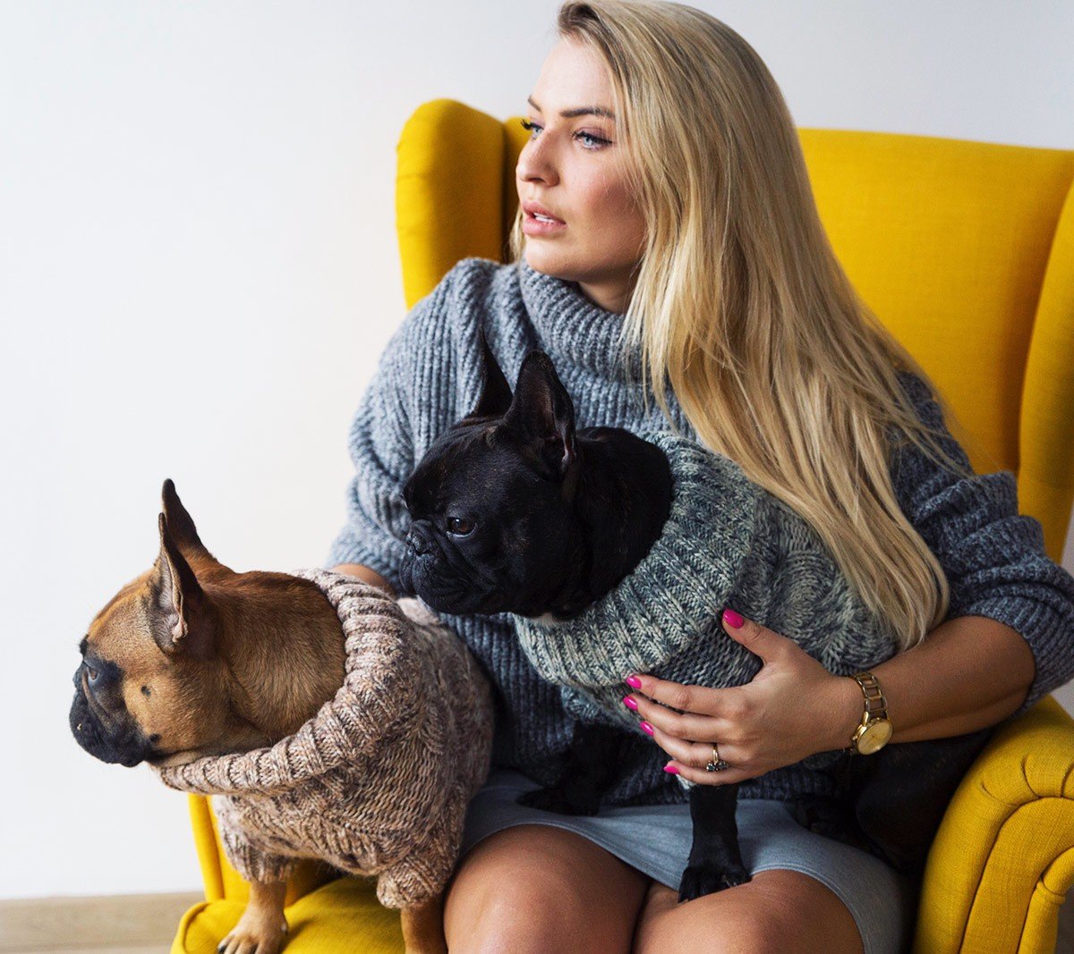 Piękne sweterki i szaliki dla psów i kotów GALERIA ZDJĘĆ Zobacz ubrania dla  psów i kotów. Powstają w Bestwinie niedaleko Bielska-Białej | Dziennik  Zachodni