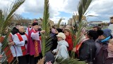 Niedziela Palmowa na tarnobrzeskim Serbinowie. Modlitwa i piękne palmy