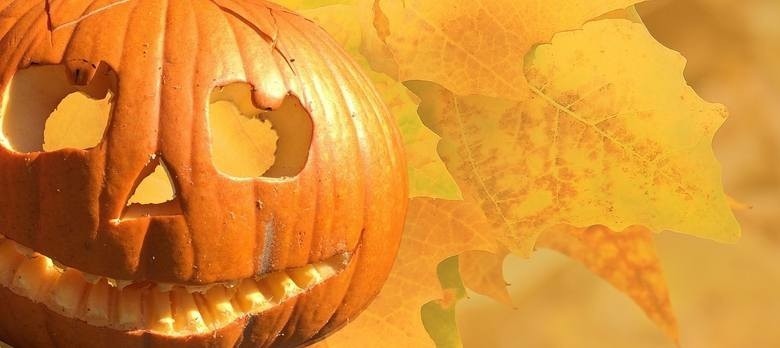 Dynia na Halloween - jak zrobić najlepszą? Sprawdź wzory i pomysły i zrób niesamowitą dynię na Halloween 2019