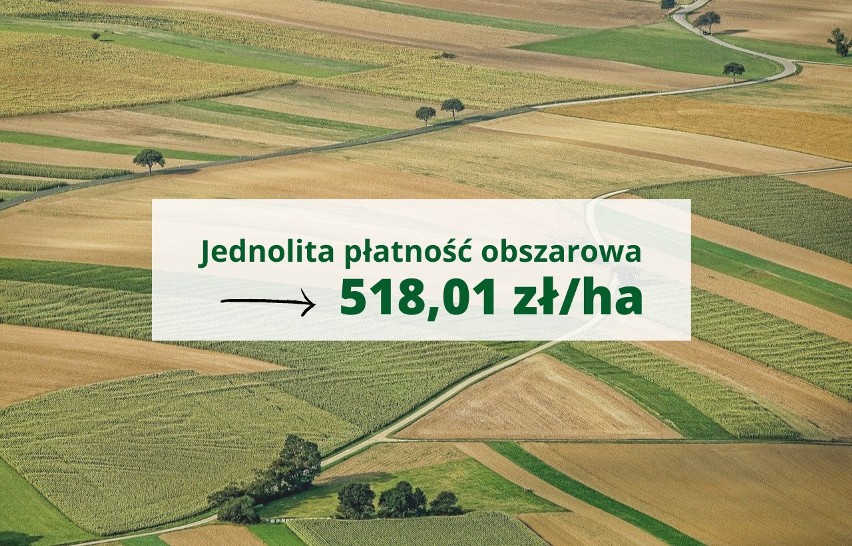 Rok temu jednolita płatność obszarowa 487,62 zł/ha