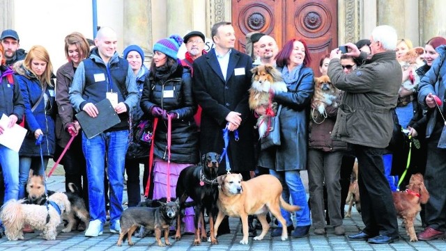 Właściciele psów przekazali nowe postulaty władzom Krakowa. Chcą, by ich zwierzęta były bezpieczne