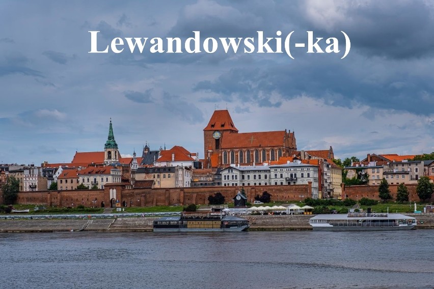 Lewandowski(-ka)...