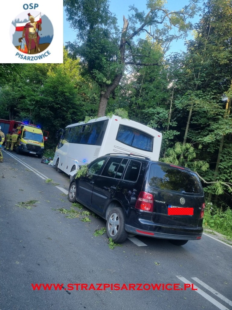 Dolnośląskie. Wypadek niedaleko miejscowości Ogorzelec. Autobus uderzył w drzewo [ZDJĘCIA, WIDEO]