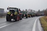 Protest rolników na DK 81. Kilkaset ciągników na trasie między Pawłowicami a Ochabami. Zobaczcie ZDJĘCIA