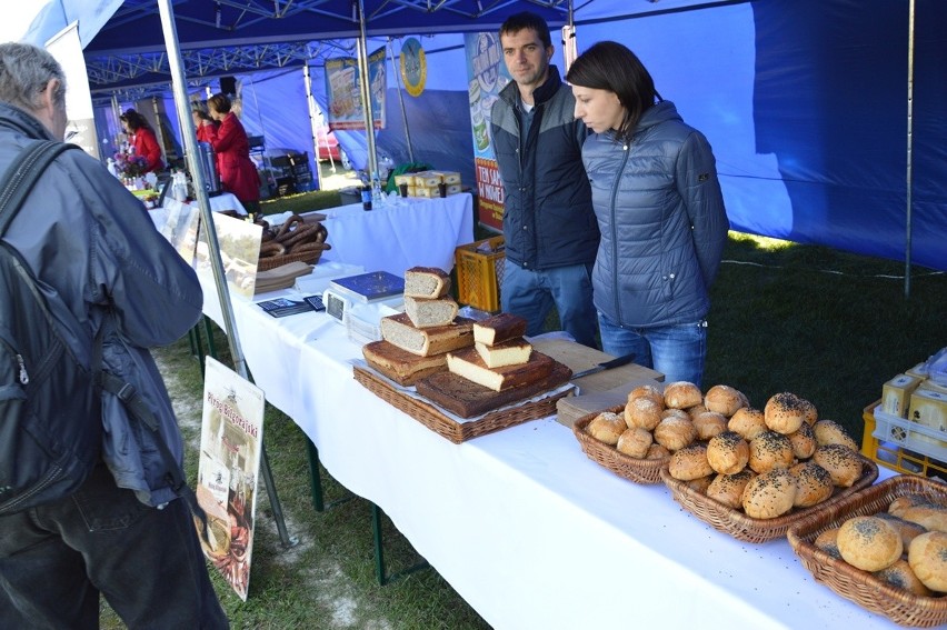 Bieg Świętego Huberta, stragany z dziczyzną to atrakcje Hubertusa Nadsańskiego