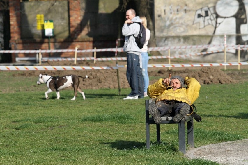 Wrocławianie na Wyspie Słodowej. Wiosenna pogoda zachęca [GALERIA]