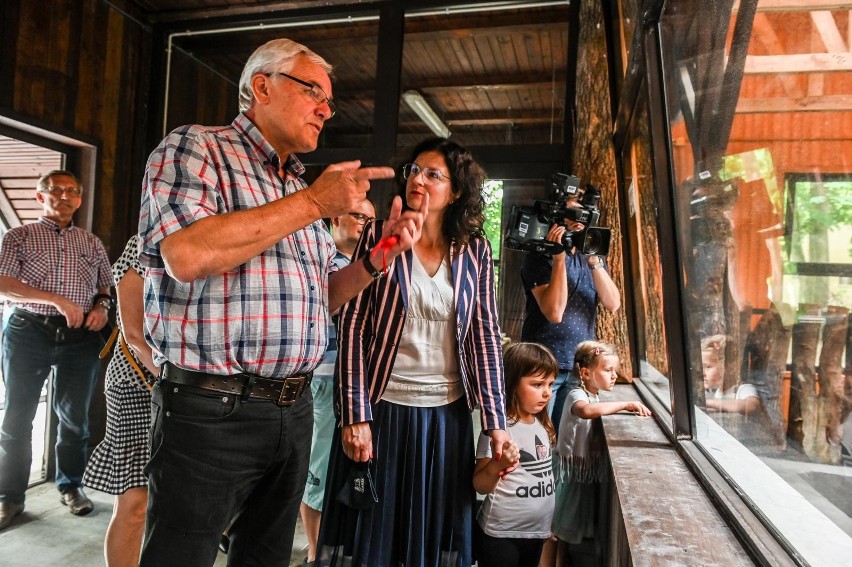 W gdańskim zoo otwarto nowy wybieg dla hipopotamów...