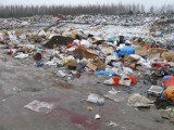 Mieszkańcy o martwym noworodku: Mieliśmy wysypisko śmieci, a teraz wysypisko dzieci. Szok!