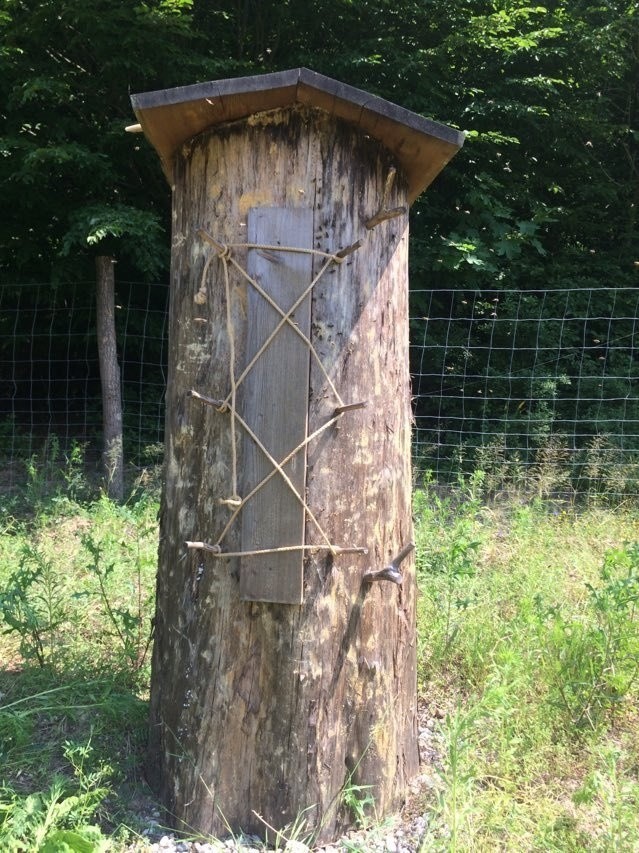 Pszczoły znalazły nowe domy na terenie Motylewa.