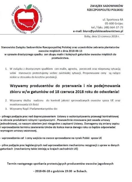 KONIEC polskich owoców w sklepach? Sadownicy - "Od 18 czerwca nie zbieramy!" STRAJK plantatorów obejmie całą Polskę?