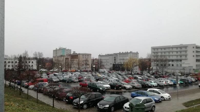 Mieszkańcy zwracają uwagę, że parking przy Palmiarni jest w...