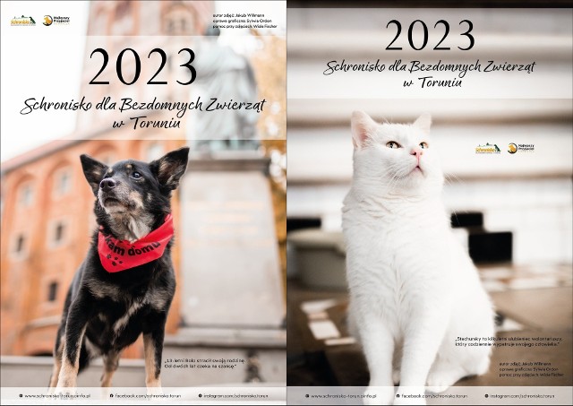 Schroniskowy kalendarz jest dwustronny i zawiera zdjęcia psów oraz kotów