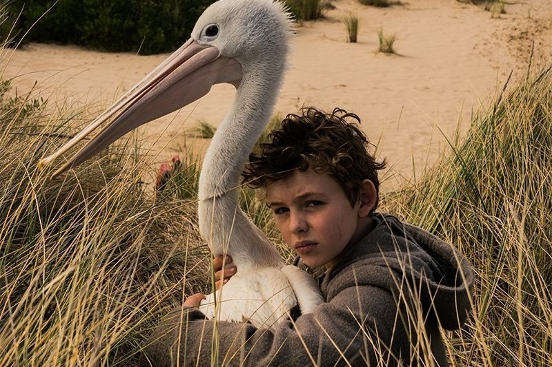 Kino Etiuda zaprasza na trzy nowości filmowe – „Mój piękny syn”, „Chłopiec z burzy” i „Miszmasz czyli Kogel Mogel 3”