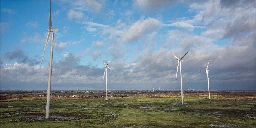 Neutralność emisyjna dzięki farmom wiatrowym? OZE przyszłością naszego kraju