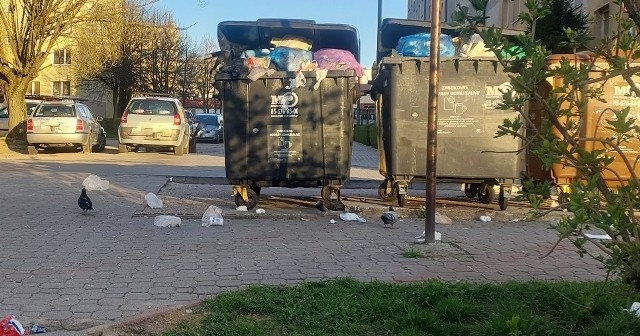 Segregacja odpadów to jedna strona czystości w gminie. Z drugiej strony mieszkańcy skarżą się na przepełnione pojemniki, a na niektórych osiedlach na brak zadaszonych śmietników. Przez to śmieci są porozrzucane wokół bloków.