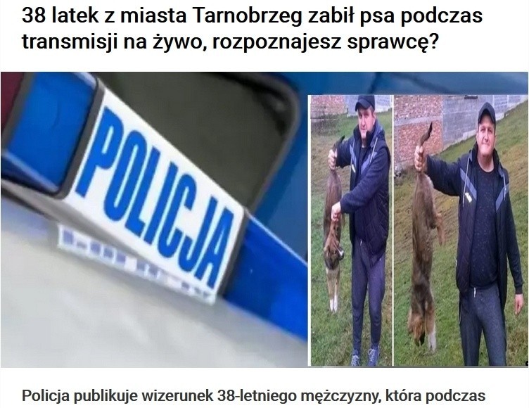 38-latek z Tarnobrzega zabił psa podczas transmisji na żywo? Zalogujesz się, stracisz konto na Facebooku