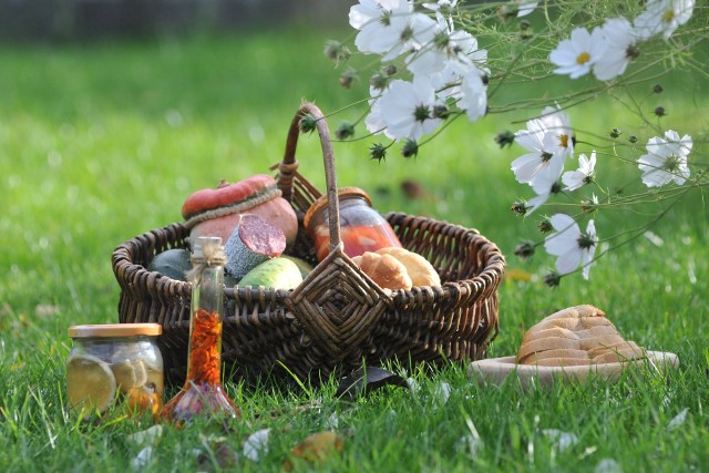 Piknik to jedna z ciekawszych form spędzenia czasu w lecie. Kliknij w obrazek, aby zobaczyć, co spakować do koszyka piknikowego.