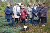 Zielona Góra. Dąb Amazonek będzie teraz rósł w zielonogórskim ogrodzie botanicznym. To symbol siły tych Lubuszanek! [ZDJĘCIA]