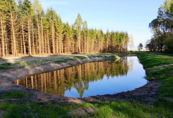 Lasy Państwowe. Podlaskie lasy doczekały się dwóch zbiorników retencyjnych. Będą one źródłem dla zwierząt i ochroną przed pożarem[ZDJĘCIA]