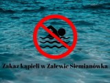 Zakaz kąpieli w Zalewie Siemianówka. W wodzie pojawiły się sinice